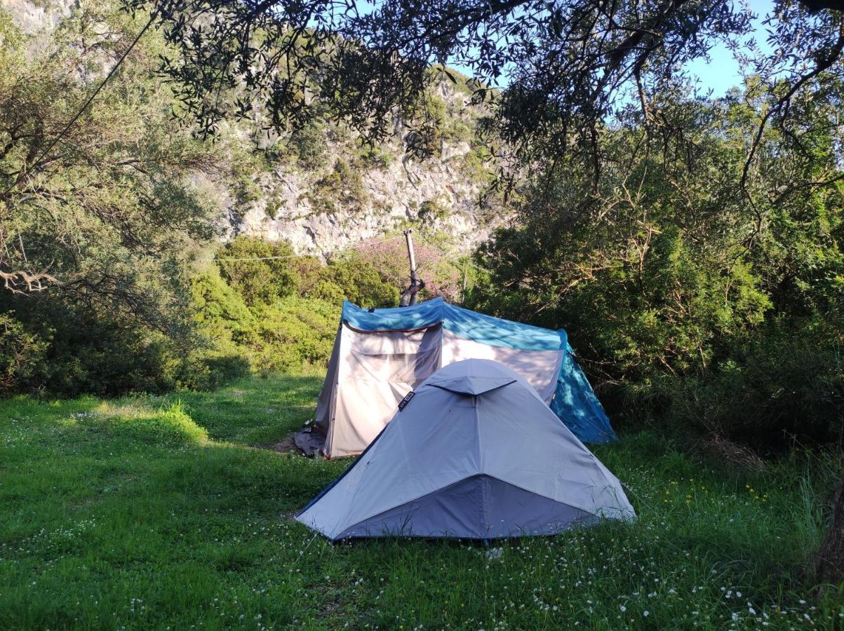 Gjipe Eco Campground Vuno Eksteriør billede