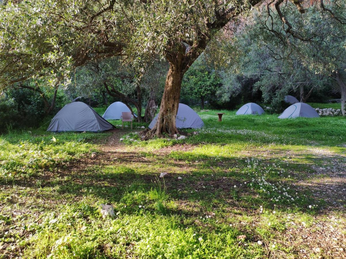Gjipe Eco Campground Vuno Eksteriør billede