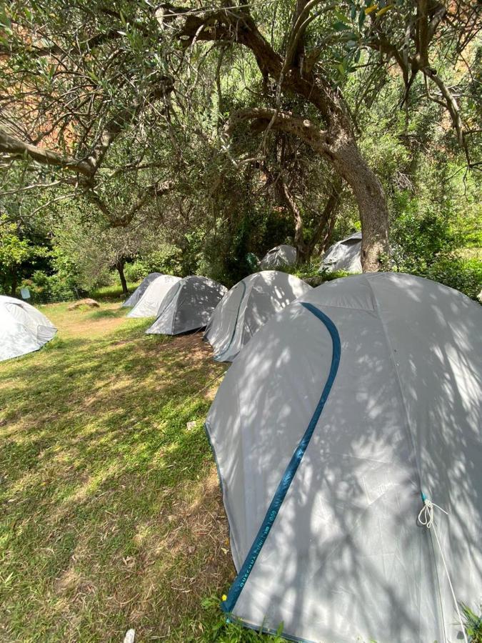 Gjipe Eco Campground Vuno Eksteriør billede